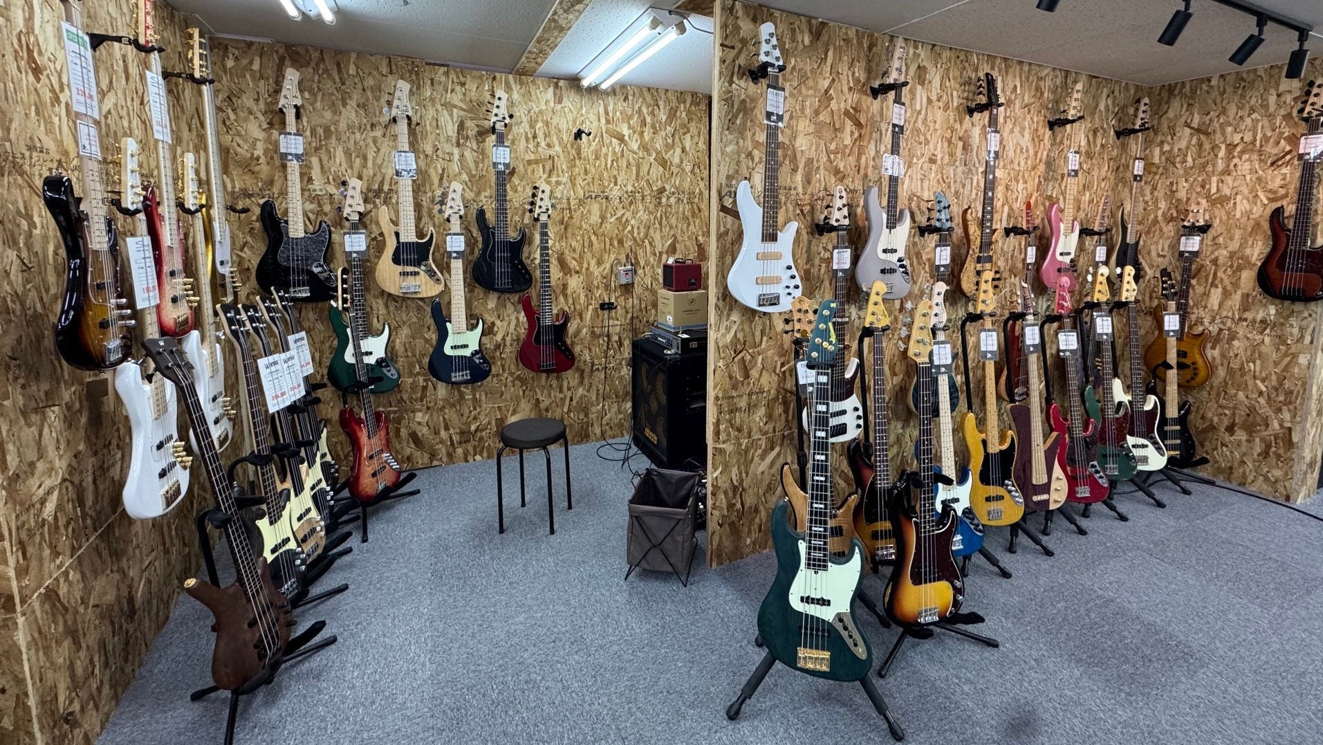Bass Shop Geek IN Box