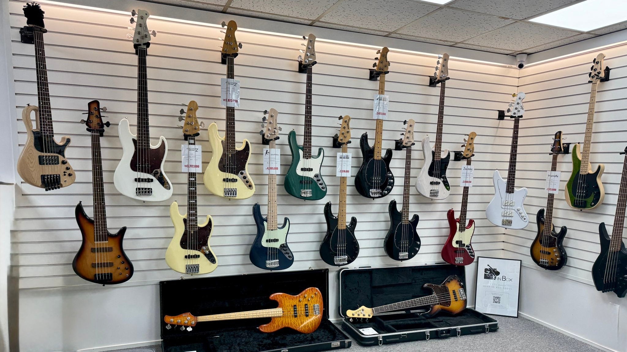Bass Shop Geek IN Box