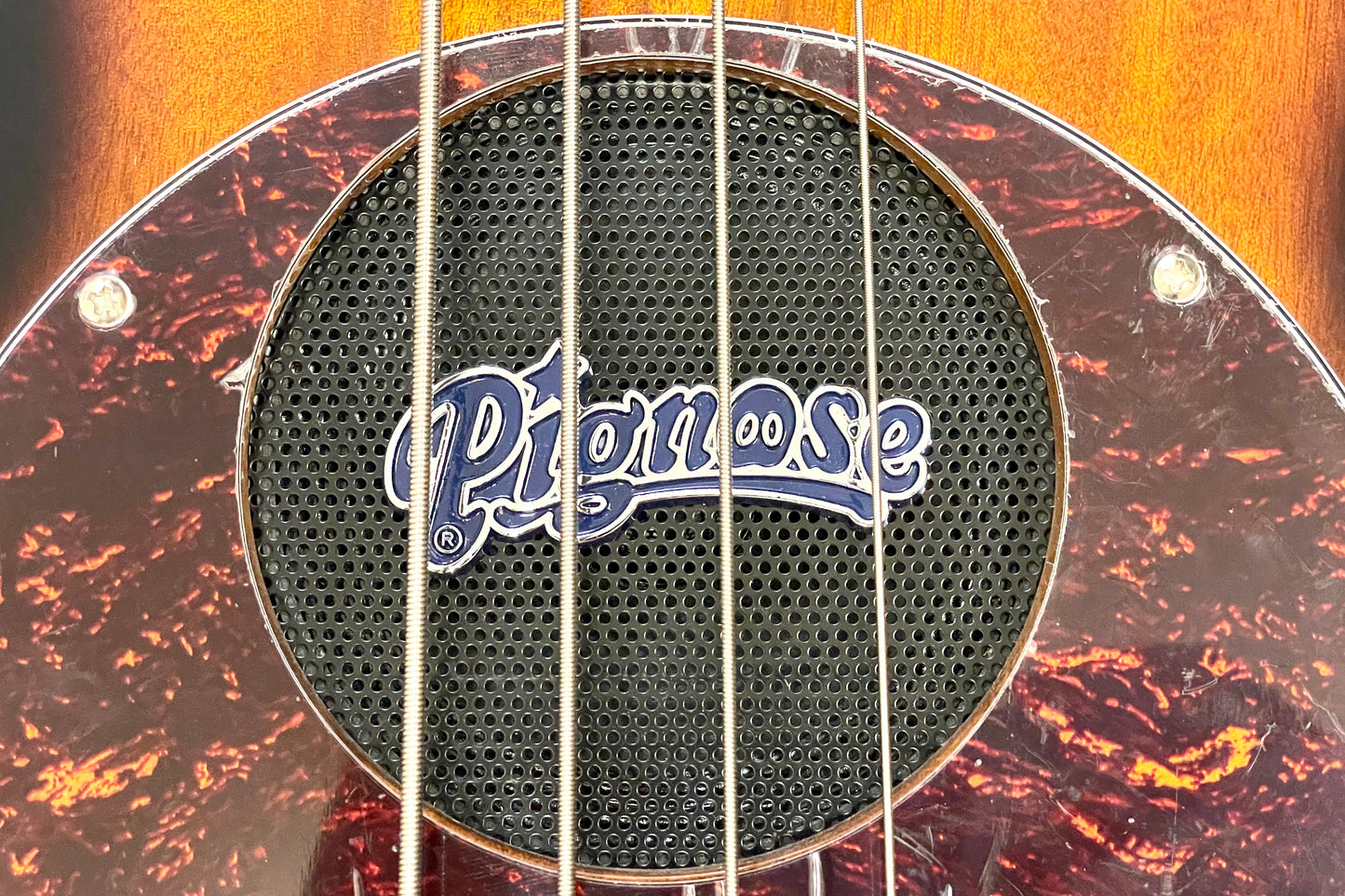 [new] PIGNOSE / PGB-200 BS [Hyogo store]