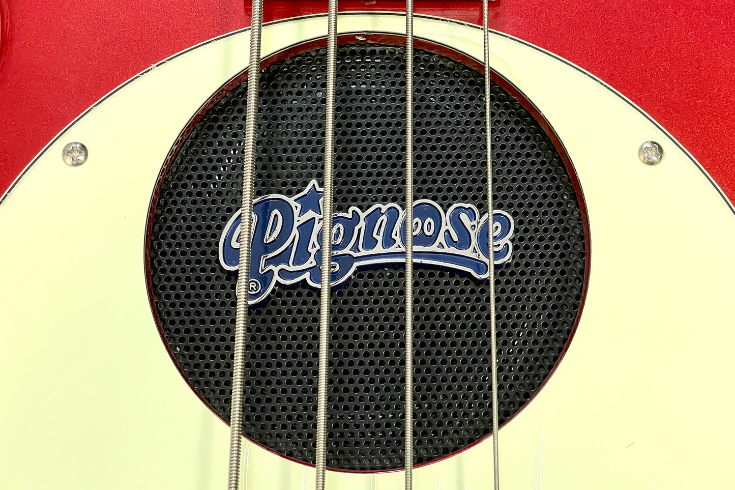 [new] PIGNOSE / PGB-200 CA [Hyogo store]