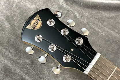 [new] PIGNOSE / PGG-200 FM SGR [Hyogo store]