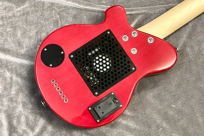 [new] PIGNOSE / PGG-200 FM SPK [Hyogo store]