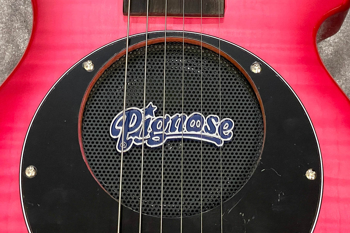 [new] PIGNOSE / PGG-200 FM SPK [Hyogo store]