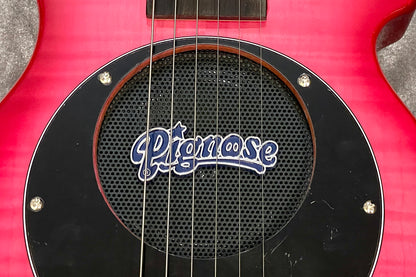 [new] PIGNOSE / PGG-200 FM SPK [Hyogo store]