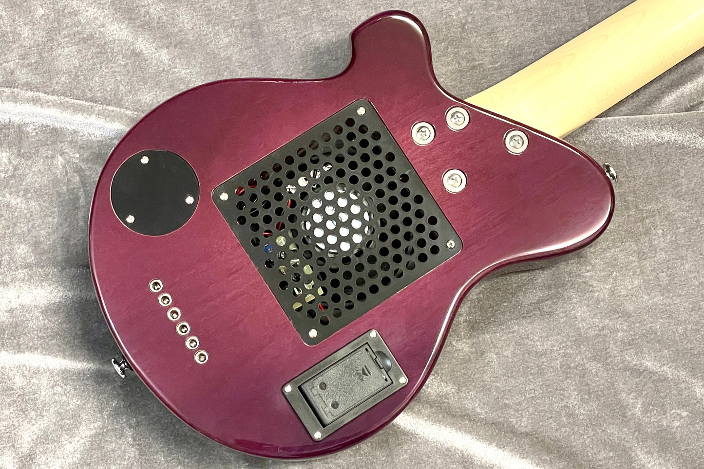 [new] PIGNOSE / PGG-200 FM SPP [Hyogo store]