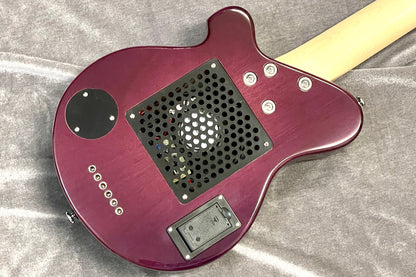 [new] PIGNOSE / PGG-200 FM SPP [Hyogo store]