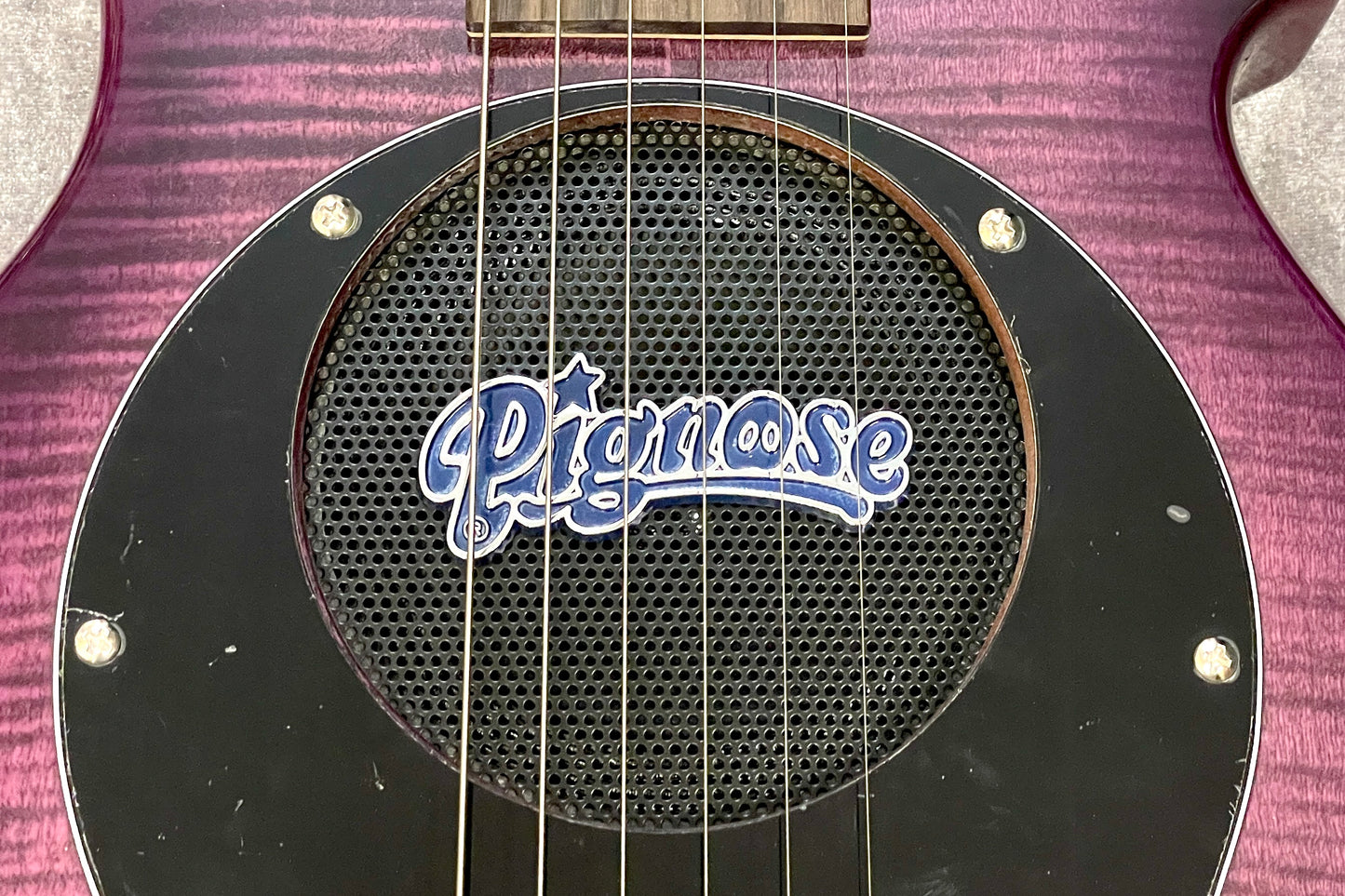 [new] PIGNOSE / PGG-200 FM SPP [Hyogo store]