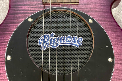 [new] PIGNOSE / PGG-200 FM SPP [Hyogo store]