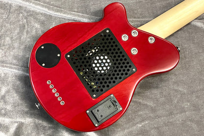 [new] PIGNOSE / PGG-200 FM SR [Hyogo store]