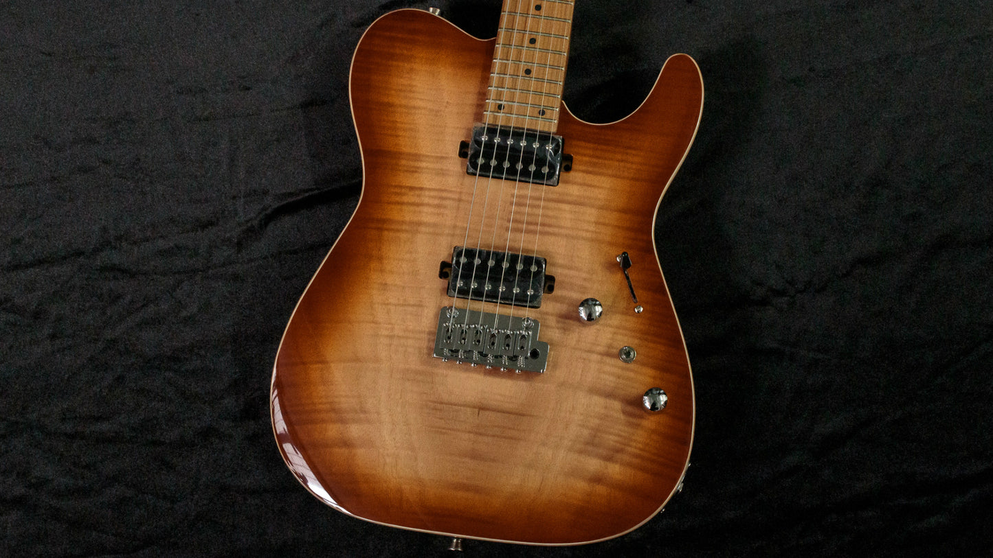 [new] Bacchus / TAC24 FMH-RSM/M N-BR-B [TONIQ]