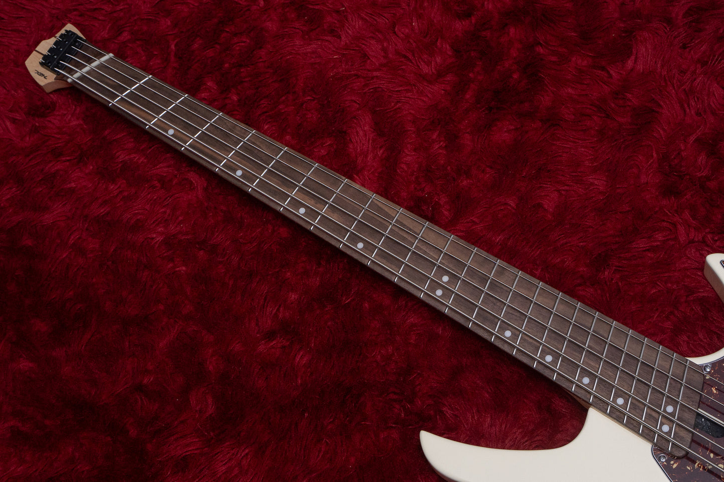 【new】HEX Guitars / NB505 Ivory