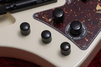 【new】HEX Guitars / NB505 Ivory