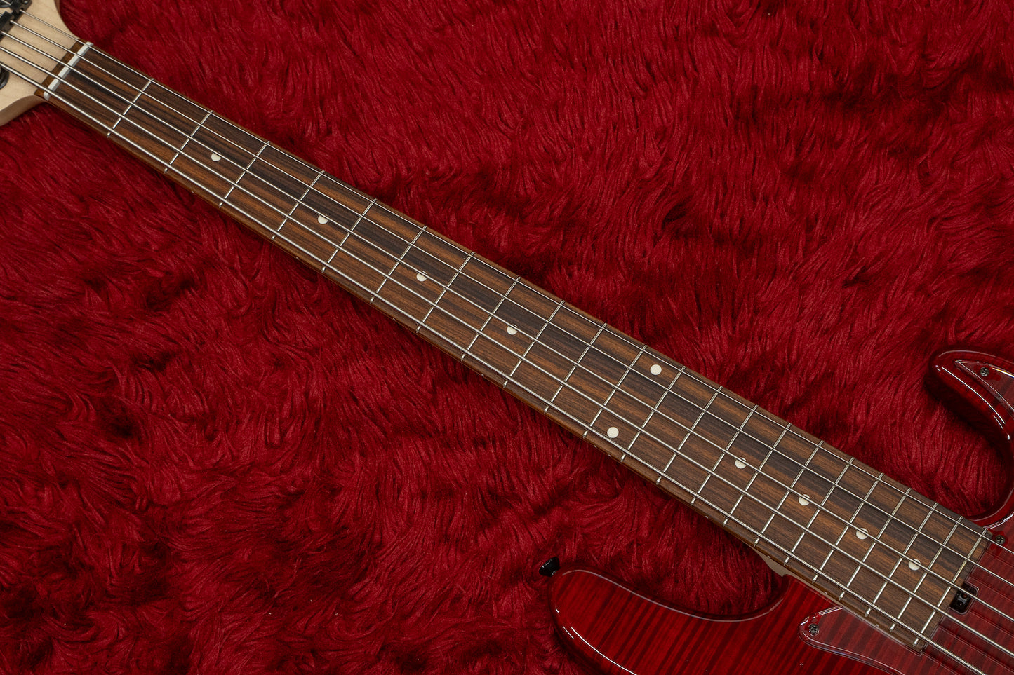 【new】Kikuchi Guitars / Custom Bass 5 Flame Maple Trans Red 【GIB Yokohama】
