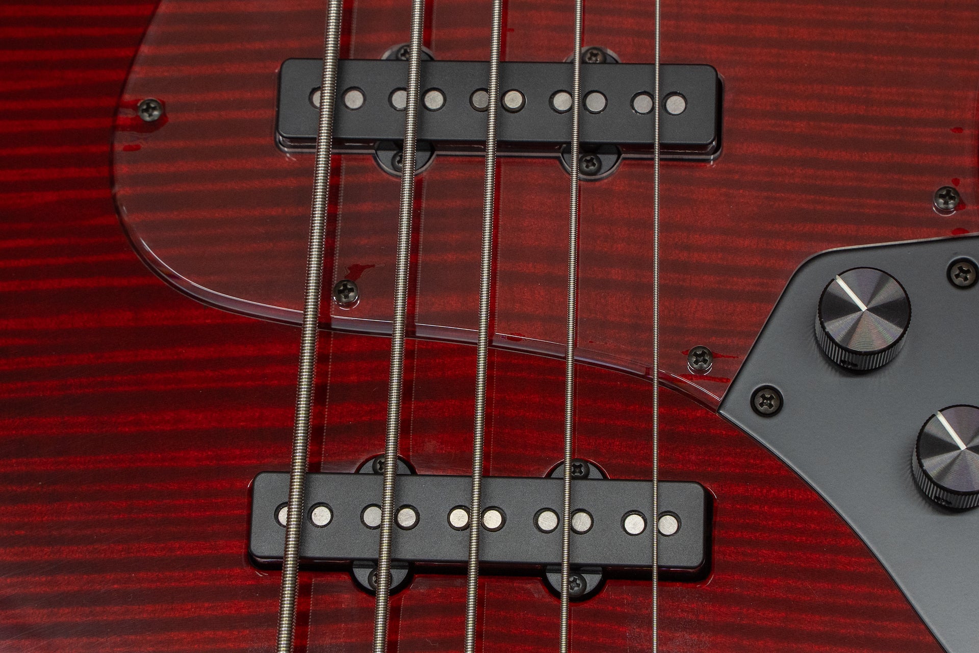 new】Kikuchi Guitars / Custom Bass 5 Flame Maple Trans Red 【GIB