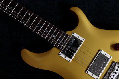 [new] PRS(Paul Reed Smith) / SE DGT Moons GoldTop #F027726 3.36kg [TONIQ]