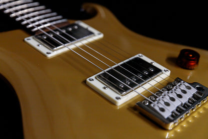 [new] PRS(Paul Reed Smith) / SE DGT Moons GoldTop #F027726 3.36kg [TONIQ]