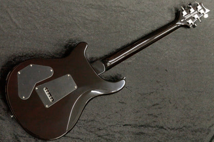 [new] PRS(Paul Reed Smith) / SE DGT Moons GoldTop #F027726 3.36kg [TONIQ]