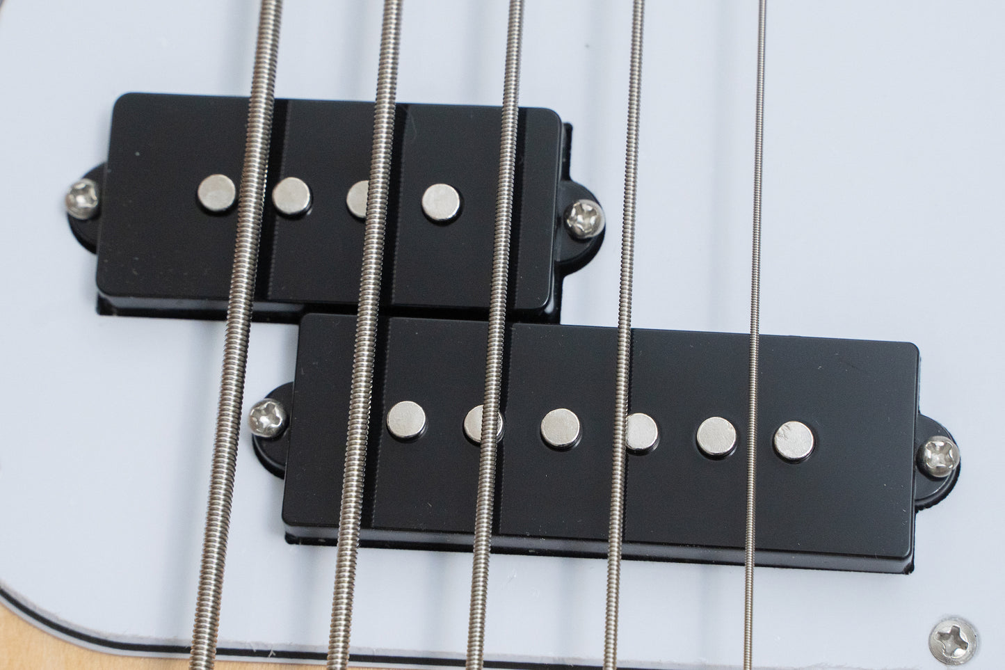 【new】woofy basses / ONE series Woo 5 Natural