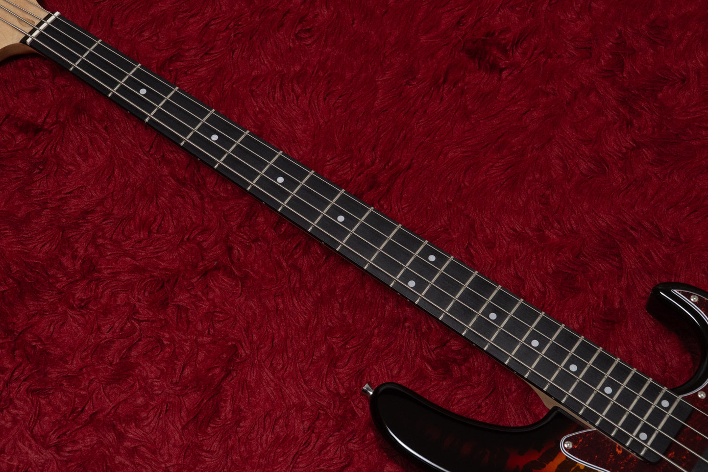【new】woofy basses / ONE series Poodle 4 Sunburst