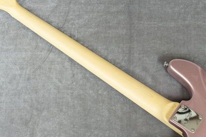 【new】SIRE / V7 Alder-4 BUR #2N4340193 4.42kg【GIB Hyogo】