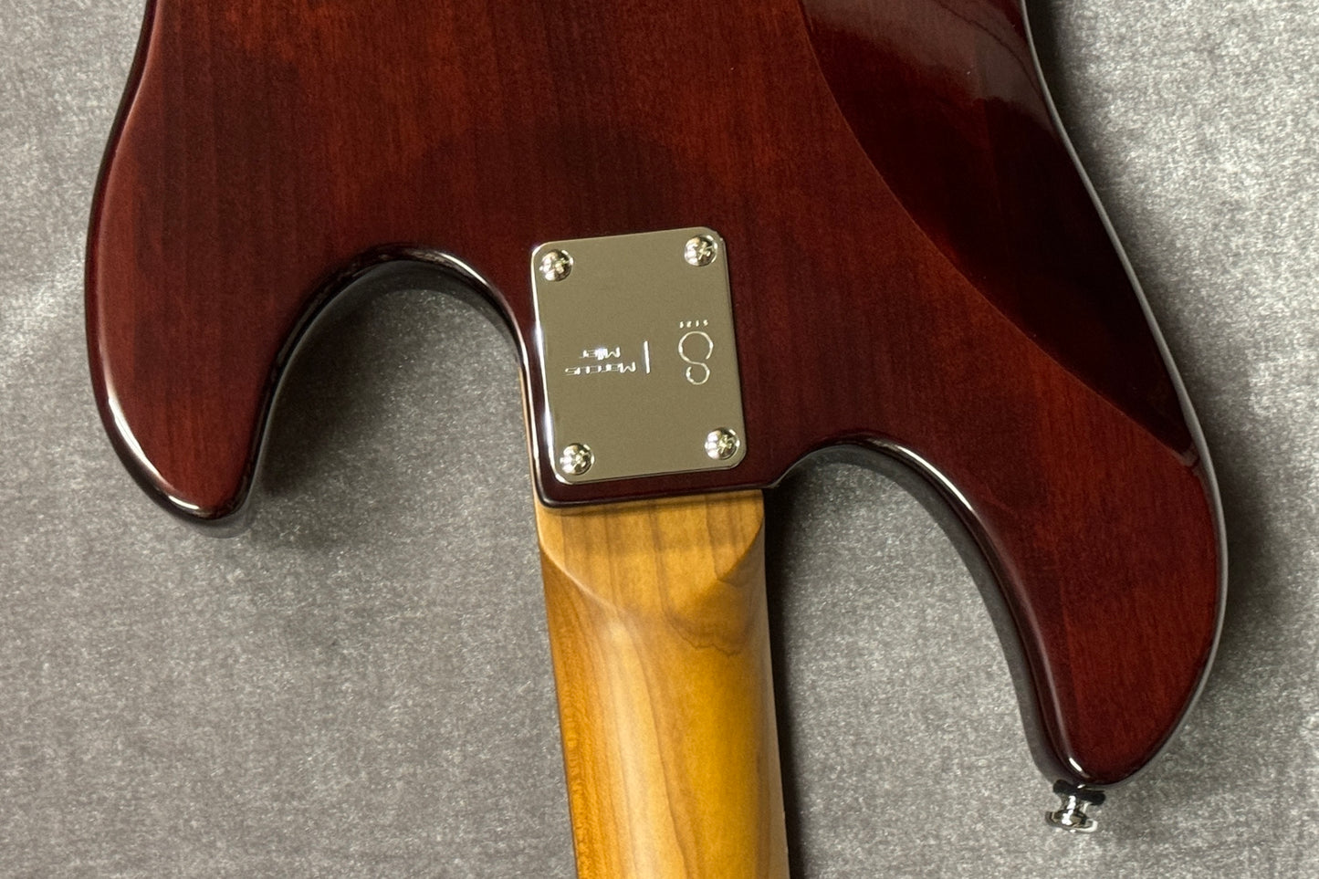 【new】Sire / P5 Alder-4 TS LH #2N23591228 4kg【GIB Hyogo】