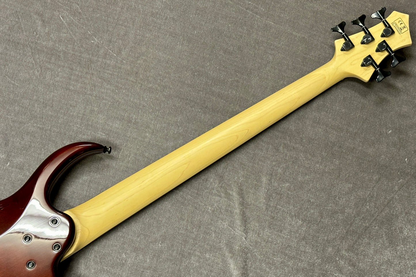 【new】Sire / M7 Alder-5 BRS LH #2N23390287 4.15kg【GIB Hyogo】