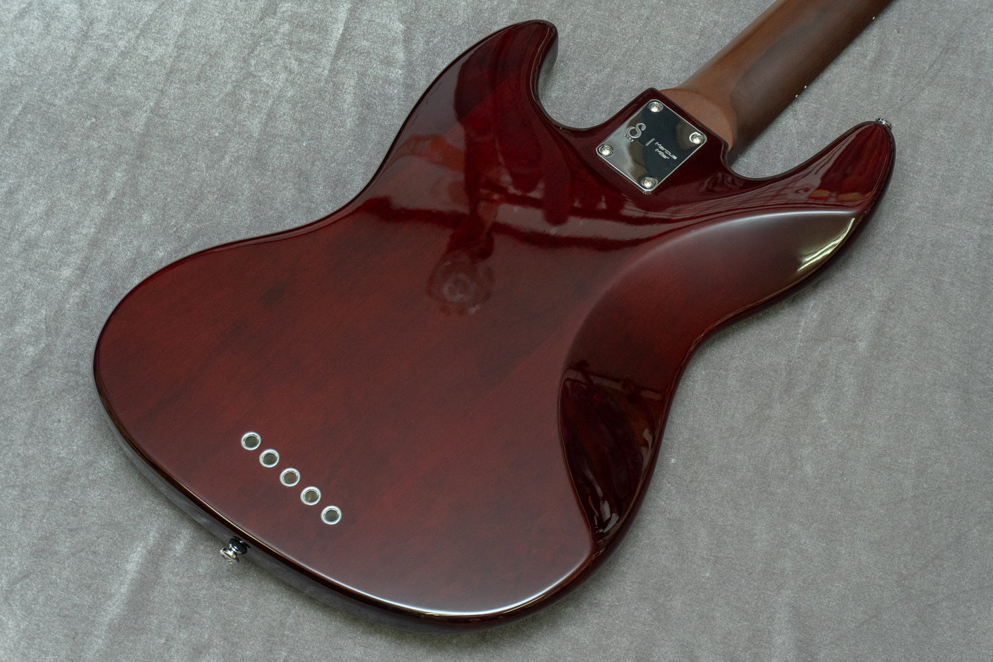 【new】Sire / V5 Alder-5 TS #2N24220132 4.45kg【GIB Hyogo】