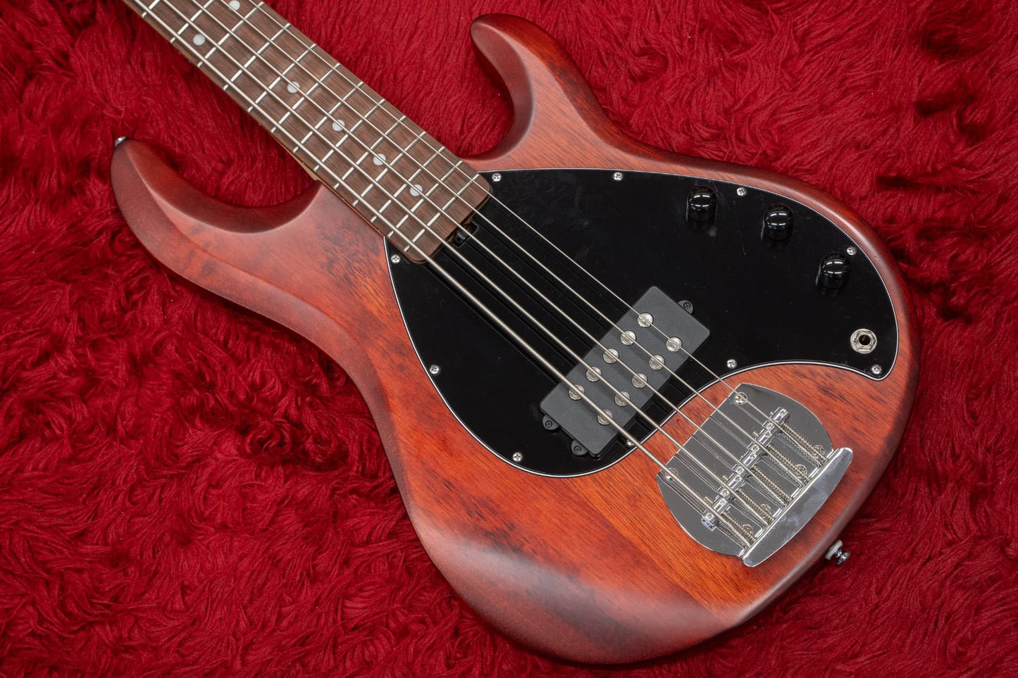 【중고】Sterling by Musicman / SUB 시리즈 Ray5 Walnut Satin 4.145kg #B180578【GIB Yokohama】