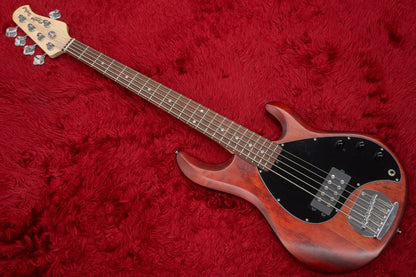 【중고】Sterling by Musicman / SUB 시리즈 Ray5 Walnut Satin 4.145kg #B180578【GIB Yokohama】