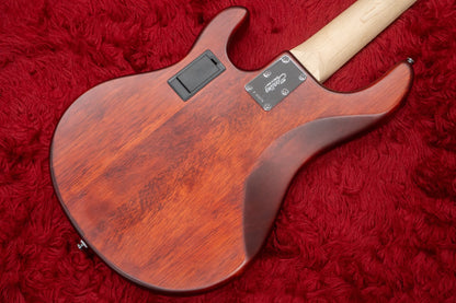 【중고】Sterling by Musicman / SUB 시리즈 Ray5 Walnut Satin 4.145kg #B180578【GIB Yokohama】