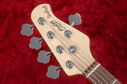 【중고】Sterling by Musicman / SUB 시리즈 Ray5 Walnut Satin 4.145kg #B180578【GIB Yokohama】