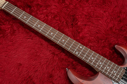 【중고】Sterling by Musicman / SUB 시리즈 Ray5 Walnut Satin 4.145kg #B180578【GIB Yokohama】