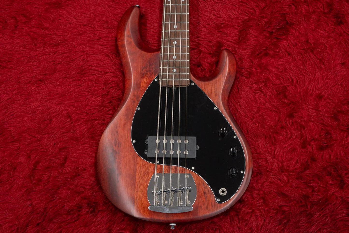【중고】Sterling by Musicman / SUB 시리즈 Ray5 Walnut Satin 4.145kg #B180578【GIB Yokohama】