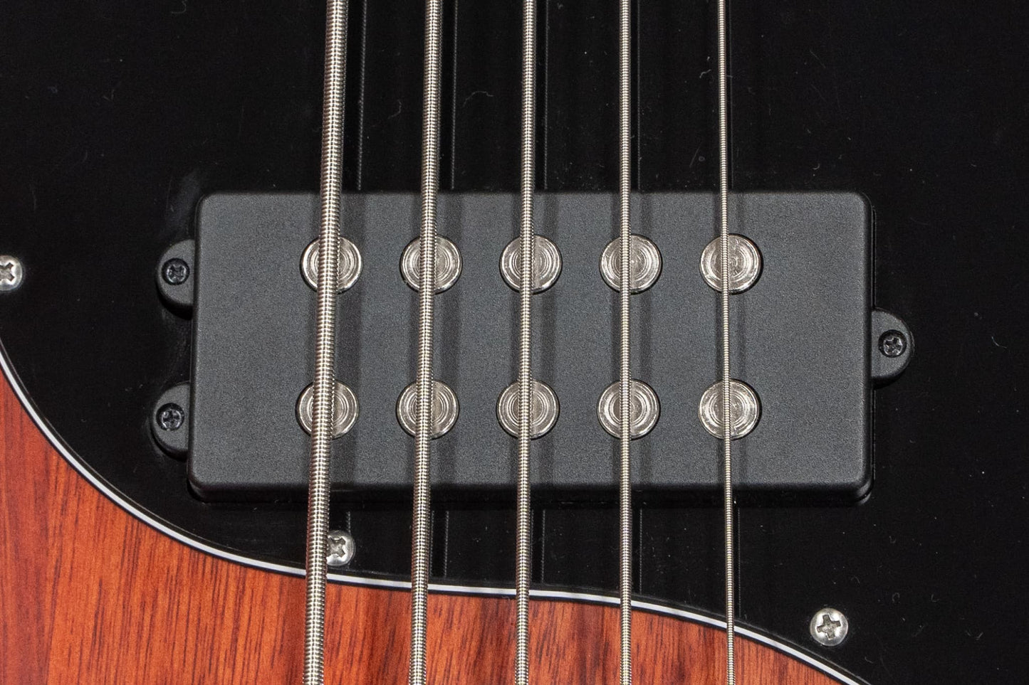【중고】Sterling by Musicman / SUB 시리즈 Ray5 Walnut Satin 4.145kg #B180578【GIB Yokohama】