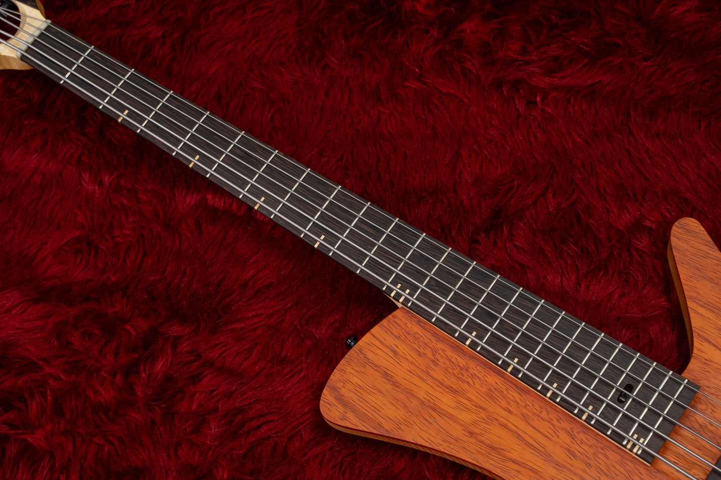 [new] Ulrich Bass Design / Saulus duo padouk 5 string 3.575kg [GIB Hyogo]