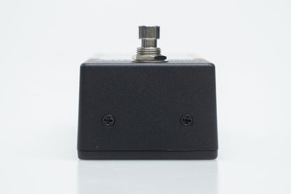 【new】WALRUS AUDIO / CANVAS TUNER【GIB Yokohama】