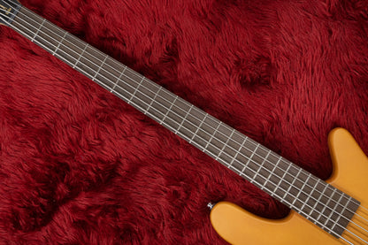 [outlet] Warwick / RockBass Streamer Standard 5st TS HV #RBK563931-21 3.795kg [Yokohama store]