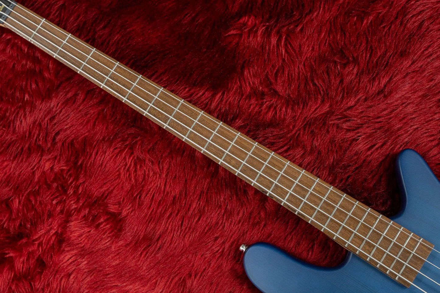 [outlet] Warwick / RB STRM STD 4 TS OB オンラインセール #RBG592546-21 3.395kg [Yokohama store]