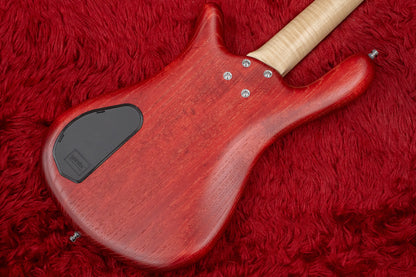 [outlet] Warwick / Team Build PS Streamer CV 4 TS BR #C009778-22 3.455kg [Yokohama]