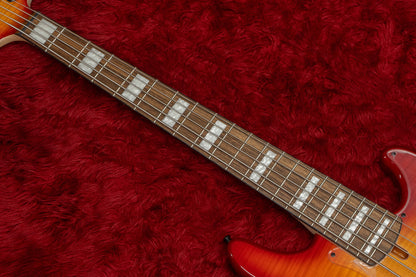 【new】Anaconda Basses / Ultra J5 Essence HNBT-LRL-MH-GS-2 4.340kg #24000079V2【GIB Hyogo】