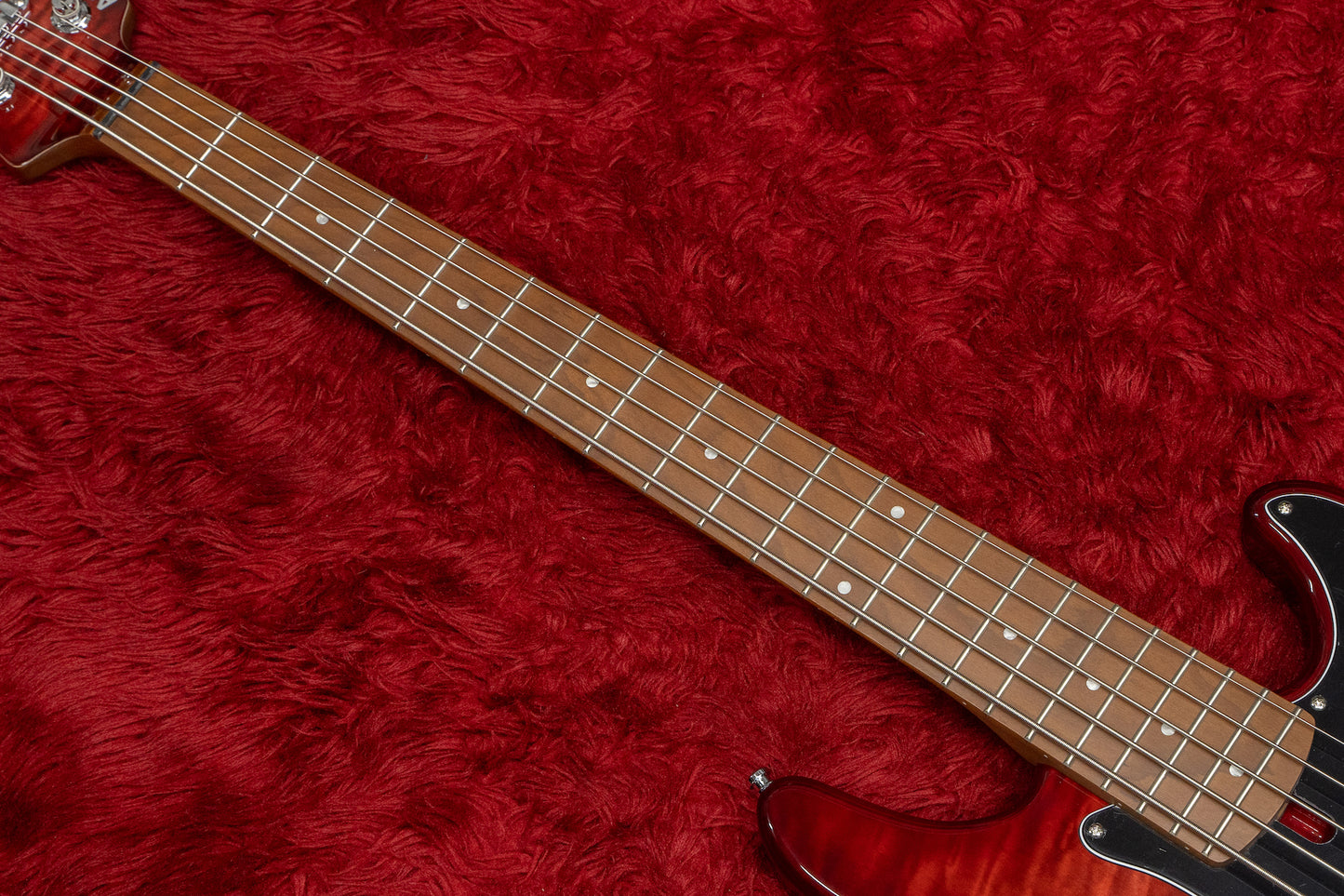 【new】Anaconda Basses / Ultra J5 Essence RBT-RMPL-MH-GS-2 3.895kg #24000128V2【GIB Yokohama】