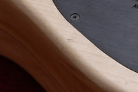 【used】AV BASSES / AVS6 Fretted deep hollow 2024 5.035kg #AVS6-2024-04【委託品】【GIB Yokohama】