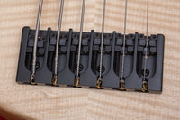 【used】AV BASSES / AVS6 Fretted deep hollow 2024 5.035kg #AVS6-2024-04【委託品】【GIB Yokohama】