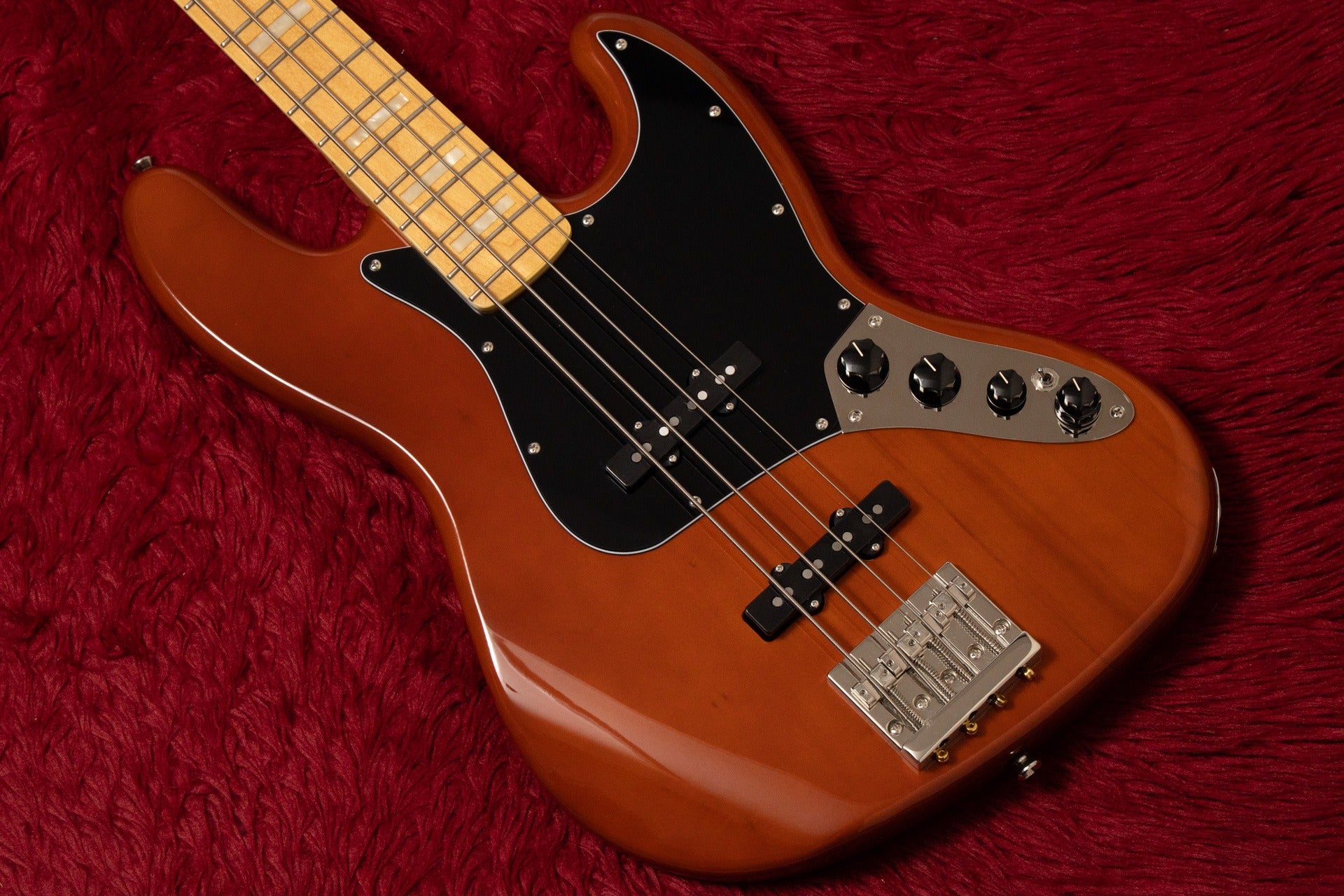 Bass Shop Geek IN Box