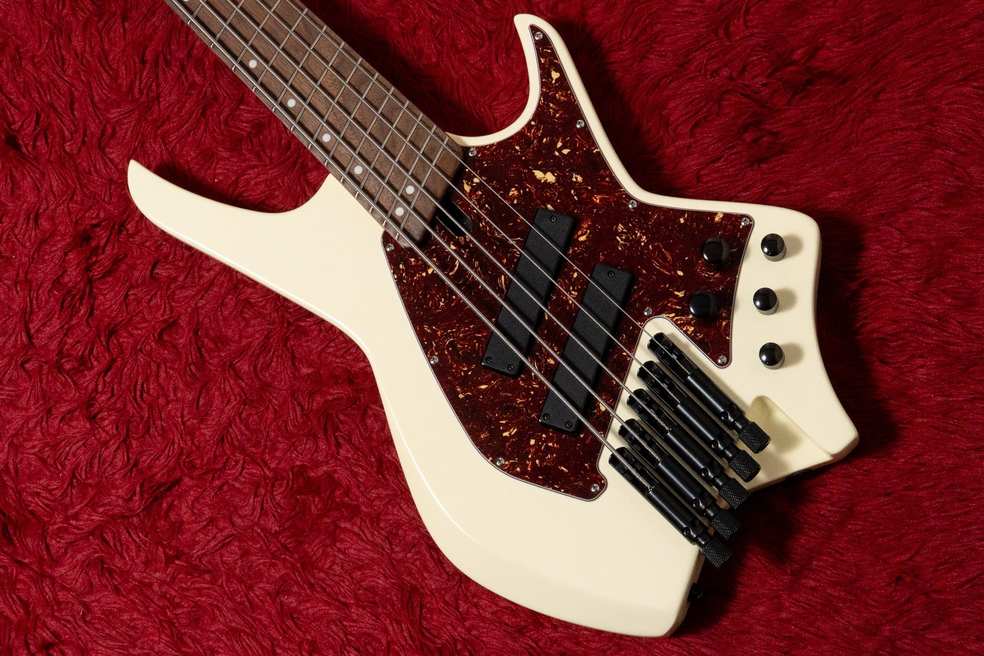 Bass Shop Geek IN Box
