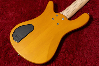 【outlet】Warwick / Rock Bass Streamer Standard 5 TS Honey Violin Transparent 4.175kg #RBH569131-25【GIB Yokohama】
