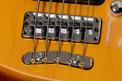 【outlet】Warwick / Rock Bass Streamer Standard 5 TS Honey Violin Transparent 4.175kg #RBH569131-25【GIB Yokohama】