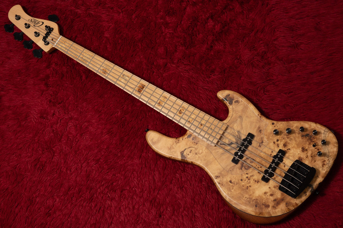 【new】Capurso Guitars / The Spiral Deluxe 522 4.540kg【GIB Yokohama】
