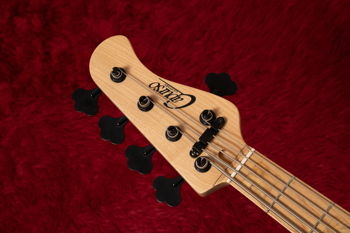 【new】Capurso Guitars / The Spiral Deluxe 522 4.540kg【GIB Yokohama】
