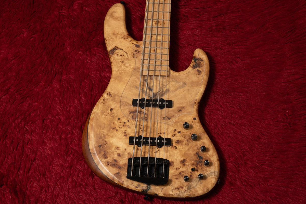 【new】Capurso Guitars / The Spiral Deluxe 522 4.540kg【GIB Yokohama】